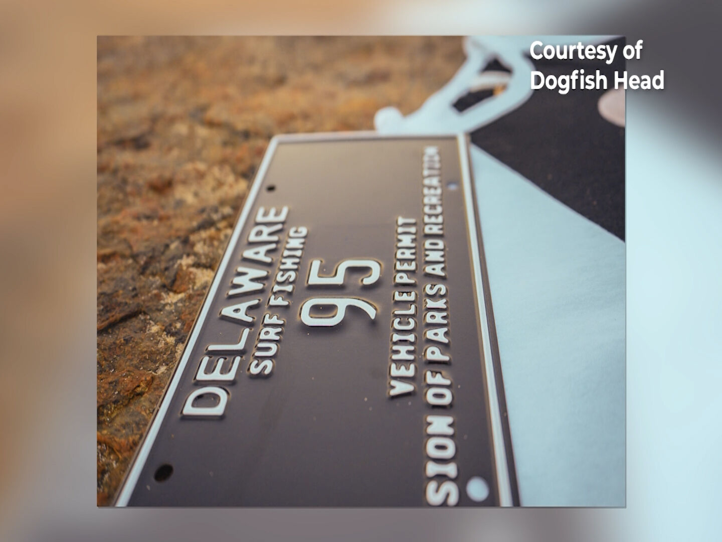 Cool Things to Do first weekend of March 2024